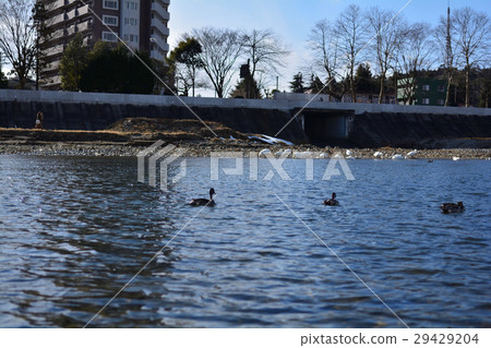 仙台·Hirosegawa 29429204