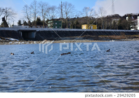 Sendai · Hirosegawa Sendai · Hirosegawa 29429205