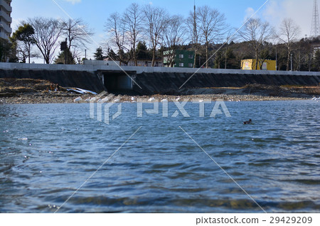 Sendai · Hirosegawa 29429209