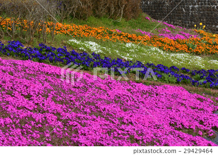 Miyagi·Michinoku Forest湖畔公園 29429464