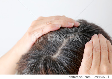 Middle female gray hair Middle female gray hair 29430701