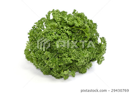 香菜 香菜 29430769