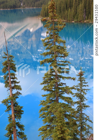 Canadian Rockies: Moraine Lake 29431580