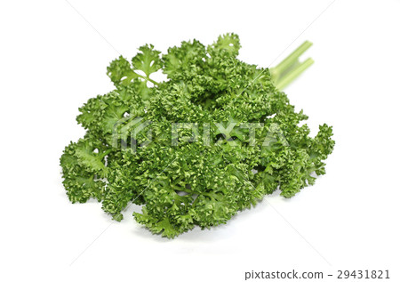 香菜 29431821