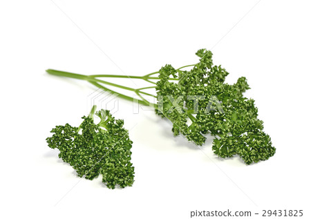 香菜 29431825