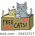 Free cat 29433717