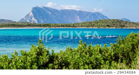Lu impustu beach in Sardinia, with Tavolara island 29434084