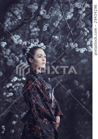 Geisha in red kimono in sakura Geisha in red kimono in sakura 29434296