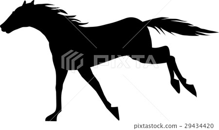 Thoroughbred 008 29434420