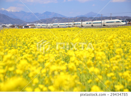 小田急浪漫汽車和強姦開花 29434785