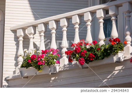 Flowers on the balcony. Flowers on the balcony. 29434843
