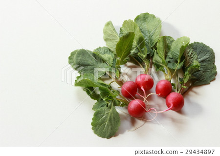Radish 29434897