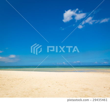 Sandy tropical beach. Sandy tropical beach. 29435461
