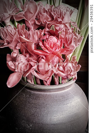 flower in jar flower in jar 29436391
