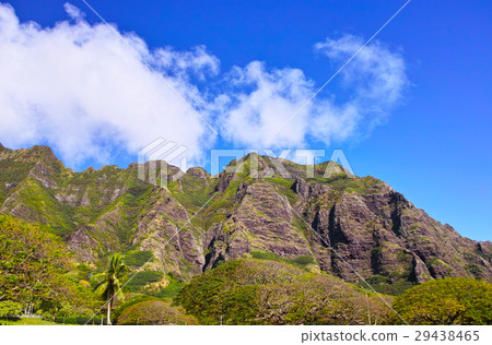 Scenery of Kualoa lunch 29438465