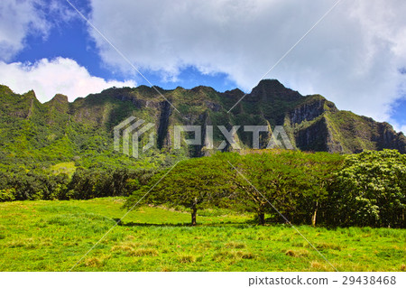 Scenery of Kualoa lunch Scenery of Kualoa lunch 29438468
