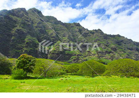 Scenery of Kualoa lunch 29438471