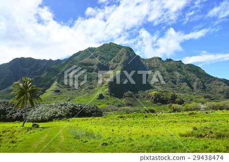 Kualoa午餐的風景 Kualoa午餐的風景 29438474