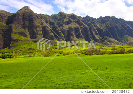 Scenery of Kualoa lunch 29438482