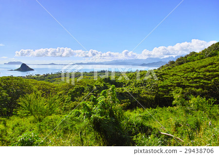 Landscape from Kualoa Lunch Landscape from Kualoa Lunch 29438706