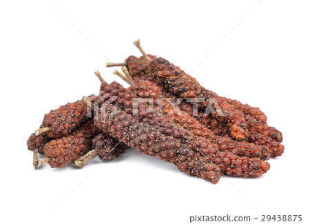 Long pepper isolated on the white background Long pepper isolated on the white background 29438875