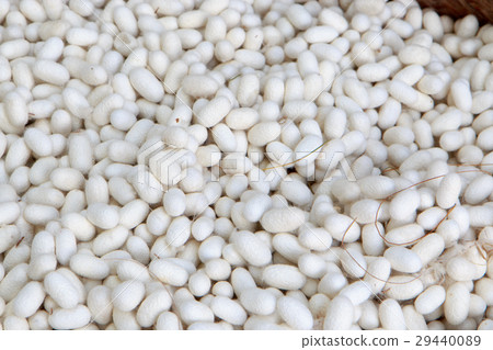 Silk worm cocoons Silk worm cocoons 29440089