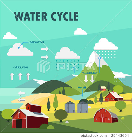 Water cycle Water cycle 29443604