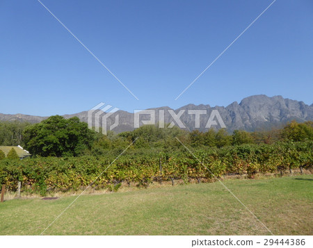 South Africa Franschhoek Winery La Couronne 29444386