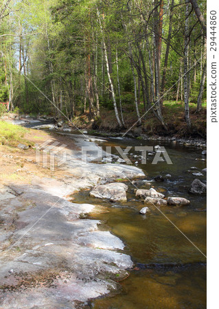 River in forest River in forest 29444860