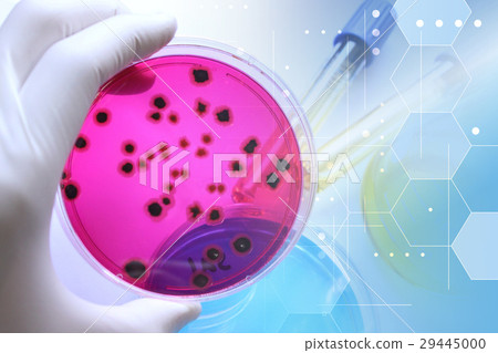 Research image Microbiology 29445000