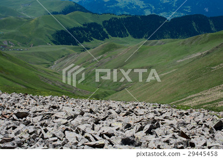 Forested mountains in scenic landscape view 29445458