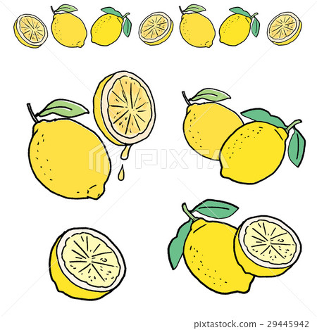 檸檬插圖 檸檬插圖 29445942