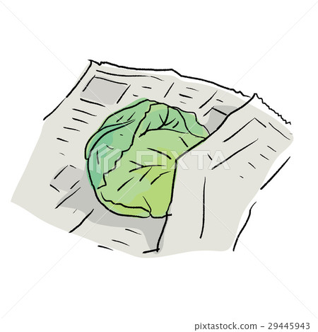白菜的插圖 29445943