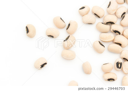 黑眼豆：黑眼豆豆 29446703