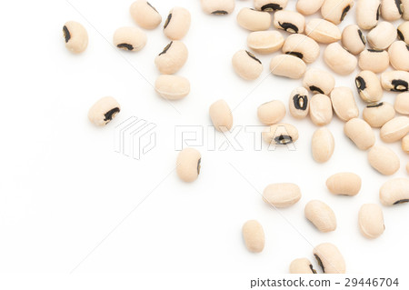 黑眼豆:黑眼豆豆 黑眼豆:黑眼豆豆 29446704