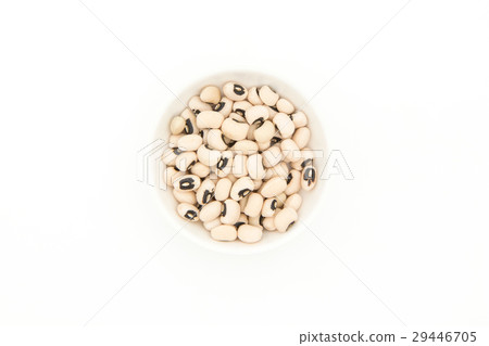 黑眼豆：黑眼豆豆 29446705