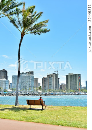 Holidays in Hawaii Holidays in Hawaii 29446811