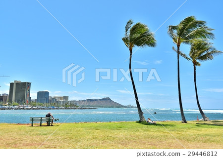 Holidays in Hawaii Holidays in Hawaii 29446812
