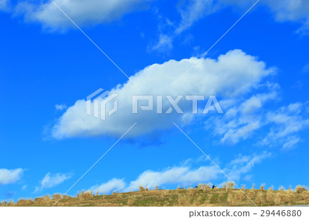 雲 雲 29446880