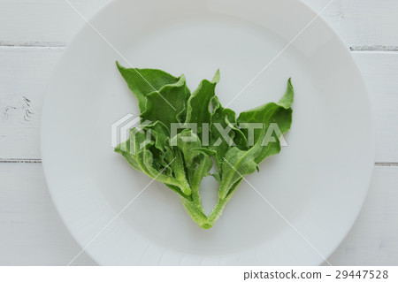 Ice plant 29447528
