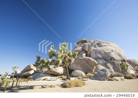 rock climbing  29448019