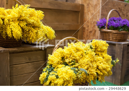 many flowers in basket yellow purple 29448629
