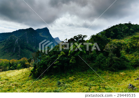 landscape at a national park ,Chiang mai,Thailand 29449535