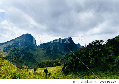 landscape at a national park ,Chiang mai,Thailand landscape at a national park ,Chiang mai,Thailand 29449536