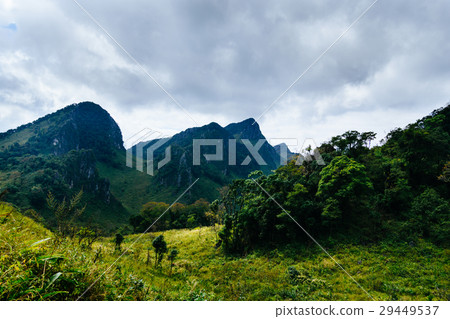 landscape at a national park ,Chiang mai,Thailand landscape at a national park ,Chiang mai,Thailand 29449537