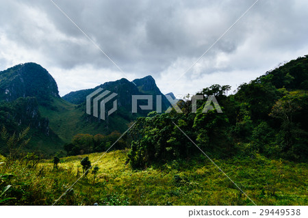 landscape at a national park ,Chiang mai,Thailand landscape at a national park ,Chiang mai,Thailand 29449538