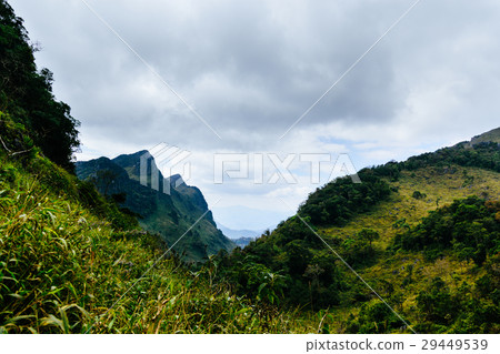 landscape at a national park ,Chiang mai,Thailand landscape at a national park ,Chiang mai,Thailand 29449539