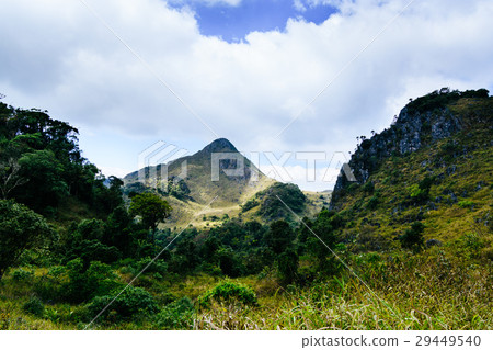 landscape at a national park ,Chiang mai,Thailand 29449540