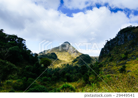 landscape at a national park ,Chiang mai,Thailand landscape at a national park ,Chiang mai,Thailand 29449541
