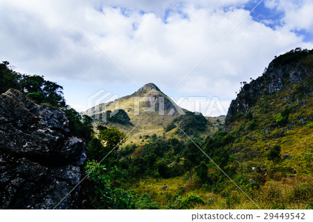landscape at a national park ,Chiang mai,Thailand landscape at a national park ,Chiang mai,Thailand 29449542